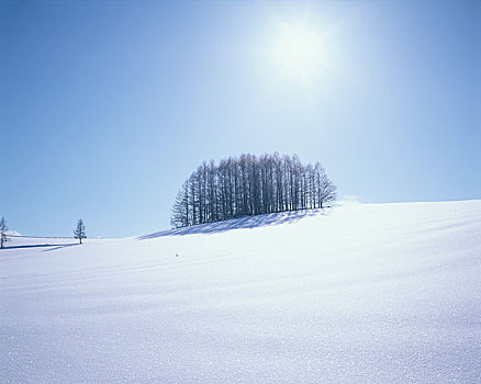 冬天,山