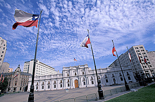 智利,圣地亚哥,总统府,花,旗,飘扬,守卫