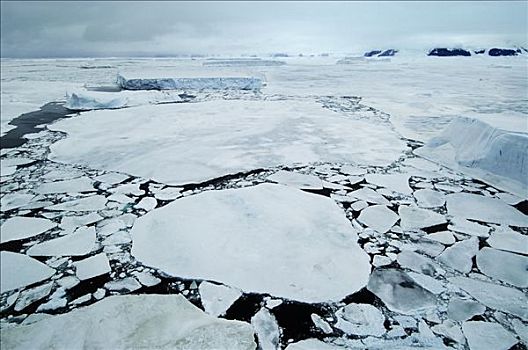 雪丘岛,威德尔海,南极