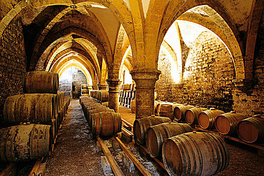 葡萄酒桶,葡萄酒厂,地窖,法国