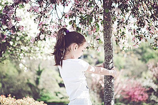 女孩,搂抱,树,花园