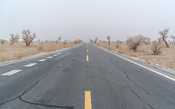 新疆巴州公路
