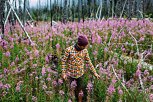 中年,男人,戴着,方格,衬衫,地点,野花,俯视,冰碛湖,班芙国家公园,艾伯塔省,加拿大