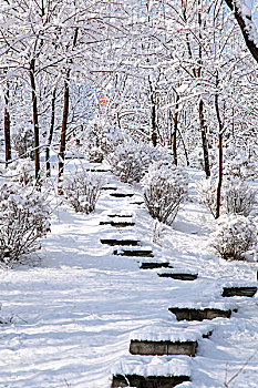 白雪覆盖着的山间石板小路