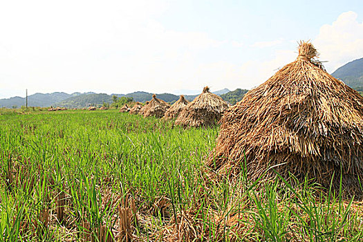 安徽農村