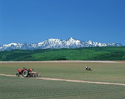 停留,雪,山脉,农场,工作