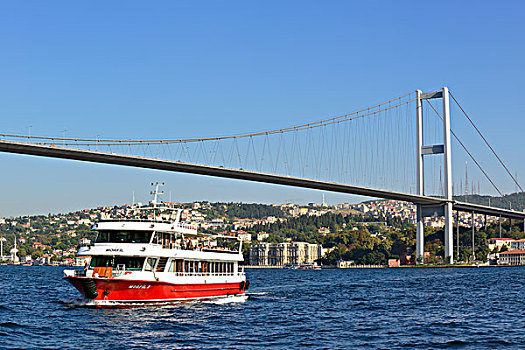 渡轮,博斯普鲁斯海峡,桥,亚洲,岸边,伊斯坦布尔,土耳其