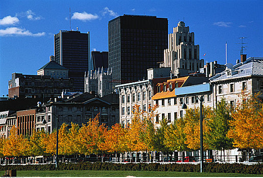 城市天际线,蒙特利尔,魁北克,加拿大