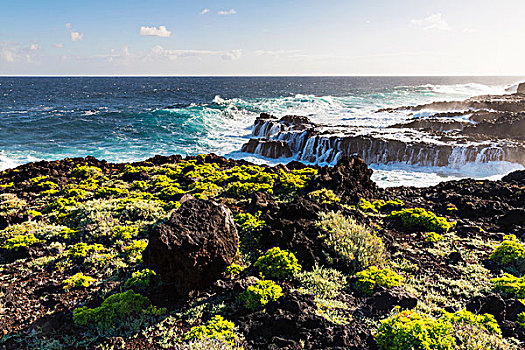 波浪,岩石海岸,加纳利群岛,西班牙