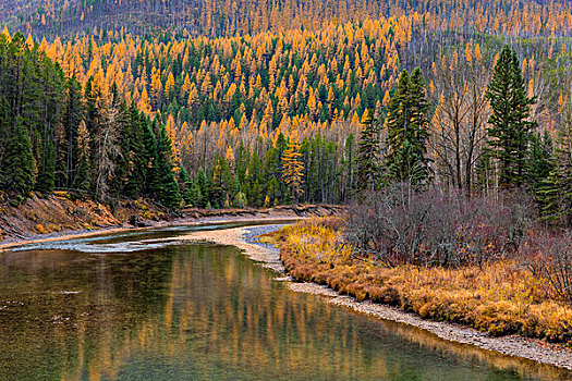 麦克唐纳溪,秋天,冰川国家公园,蒙大拿,美国,大幅,尺寸