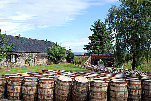 桶,等待,酿酒厂,苏格兰