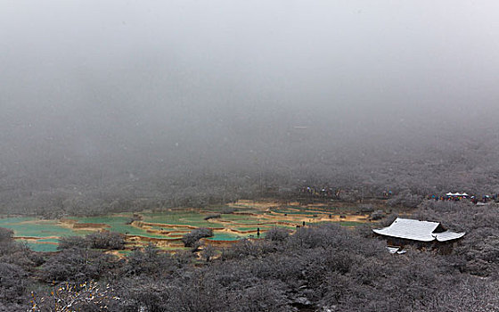 川西黄龙雪景