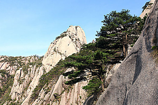 黄山,奇石,云海,壮观,名胜,风景,0189