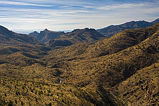 山谷,攀升,国家森林,亚利桑那