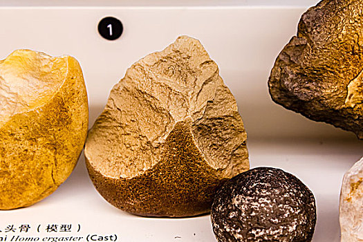 早期人类石器