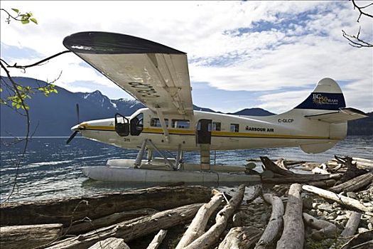 水上飞机,岸边,湖,温哥华,不列颠哥伦比亚省,加拿大,北美
