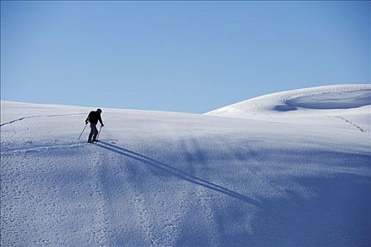 滑雪者,阿尔卑斯山