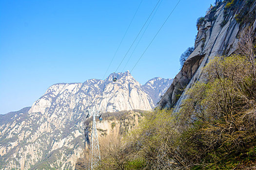 华山春日盛景