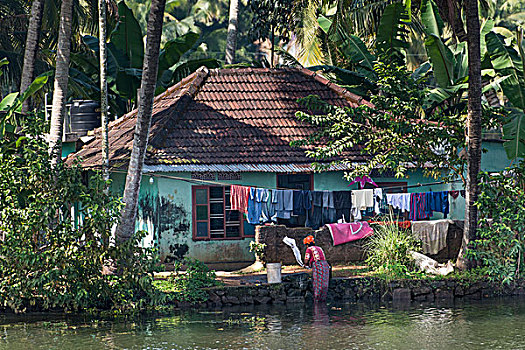 女人,洗,洗衣服,运河,死水,喀拉拉,印度,亚洲