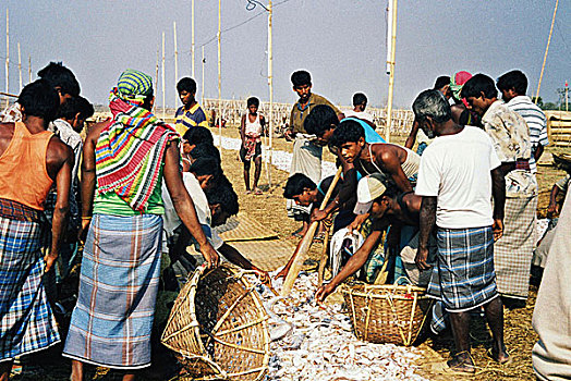 批发,鱼市,红点鲑,库尔纳市,孟加拉,2004年