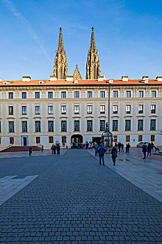 背面视角,哥特式,大教堂,圣维特大教堂,布拉格,捷克共和国,欧洲