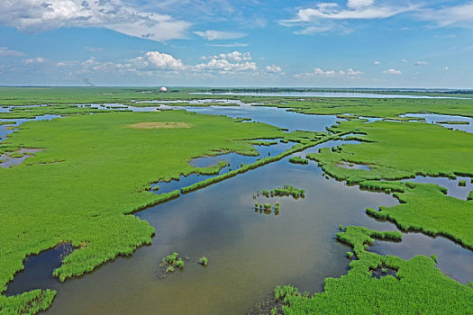 扎龙湿地保护区