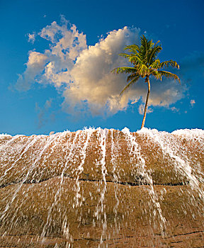 巴哈马,天堂岛,棕榈树,瀑布,数码合成