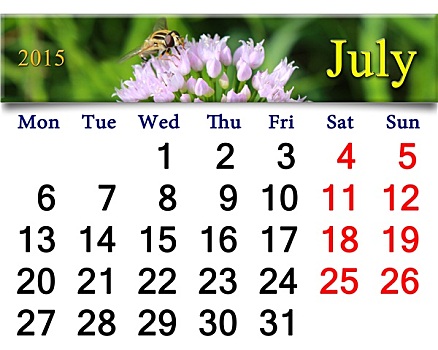 日程,七月,飞虫,花