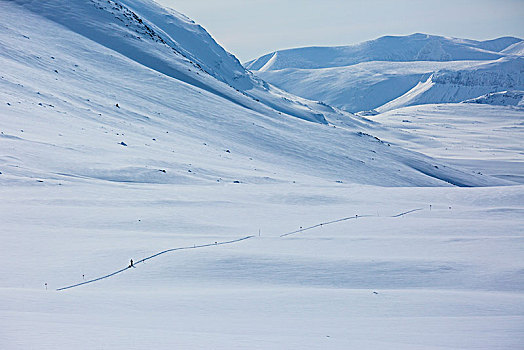 滑雪,雪地,省,拉普兰,瑞典,斯堪的纳维亚,欧洲