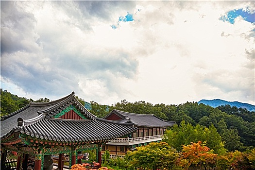 和尚,庙宇,山,韩国