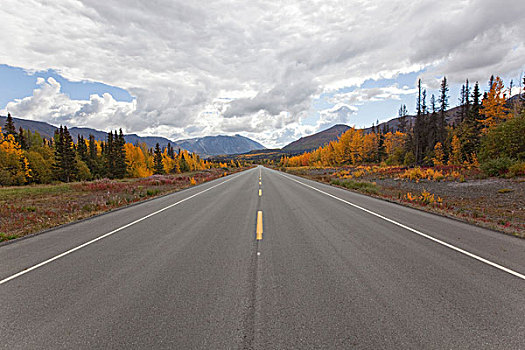 深秋,海恩斯,道路,阿拉斯加,叶子,秋色,克卢恩国家公园,自然保护区,育空地区,加拿大