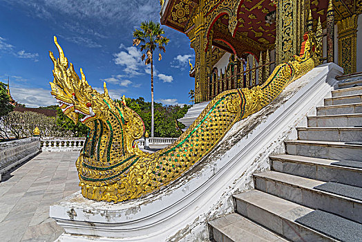金色,国王,眼镜蛇,装饰,楼梯,山楂,宫殿,小教堂,皇宫,博物馆,琅勃拉邦,老挝
