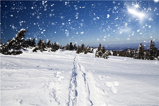 雪,小路,山