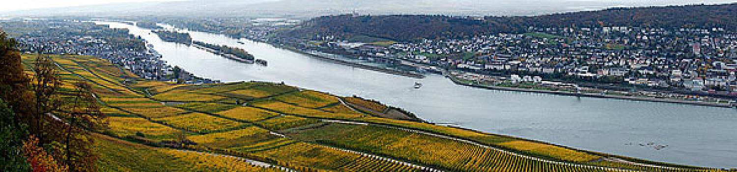德国莱茵河畔葡萄园,世界文化遗产