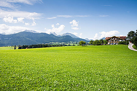 草场,巴伐利亚