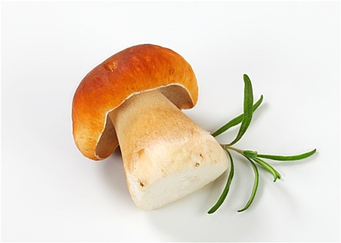 新鲜,可食蘑菇