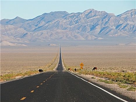 公路,2005年