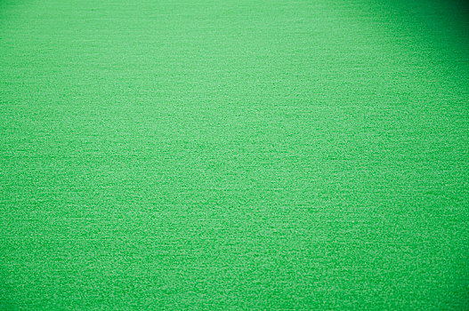 平整的绿色地毯