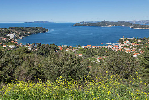 风景,岛屿,左边,达尔马提亚,克罗地亚,欧洲