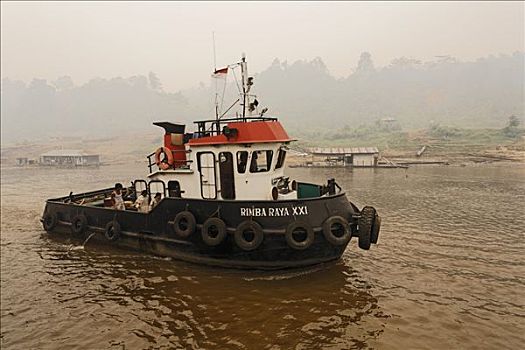 烟雾,高处,河,驳船,运输,原木,婆罗洲,印度尼西亚