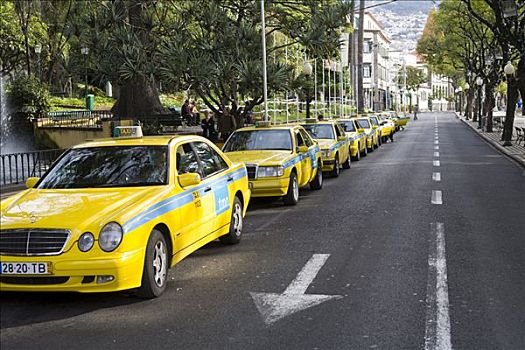 出租车,出租车站,丰沙尔,马德拉岛,葡萄牙
