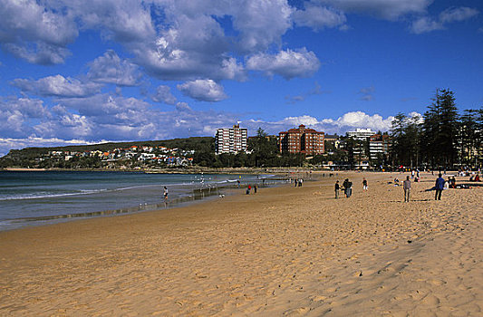 澳大利亚,靠近,悉尼,男人味,海滩