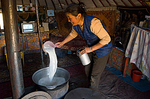 游牧,女人,蒙古包