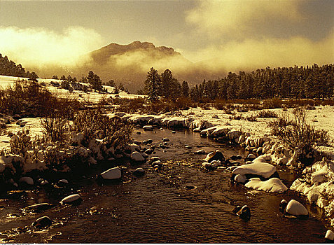 河,风景,冬天,落基山国家公园,科罗拉多,美国