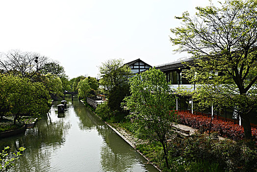 春天的杭州西溪湿地景观