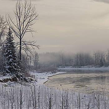 风景,湖,雪中,遮盖,树林,王子,不列颠哥伦比亚省,加拿大