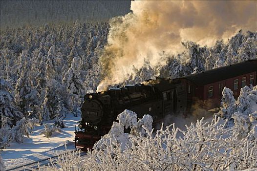 哈尔茨山,铁路,冬天,树林,蒸汽机,布罗肯,国家公园,萨克森安哈尔特,德国,欧洲
