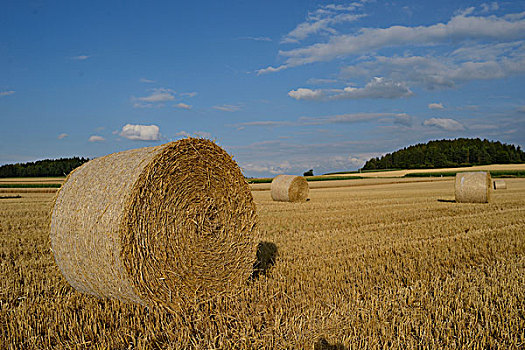 干草大包,农场场,上普法尔茨,巴伐利亚,德国