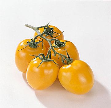 黄色西红柿,番茄