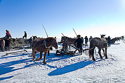 查干湖冬捕,渔猎文化,蒙古族,吉林,松原市